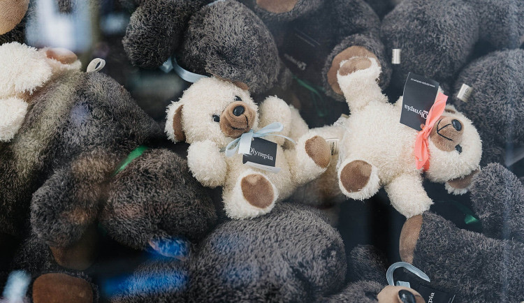 Ilustrační fotografie plyšáků