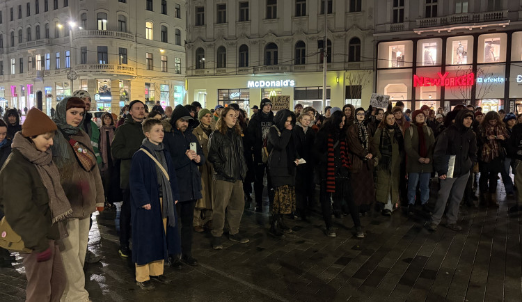 Nechceme mafiány ve vládě, zaznělo v Brně. Demonstrovalo asi sto lidí