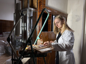 Studenti restaurátorství vrací život Herdanovu bytu, který pamatuje zlatou éru Brna