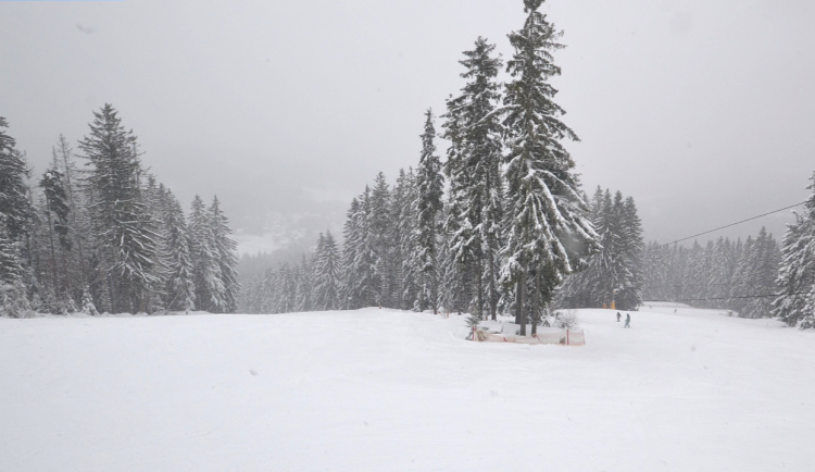 Napadl čerstvý sníh. Na šumavském Špičáku jsou ideální podmínky pro lyžování