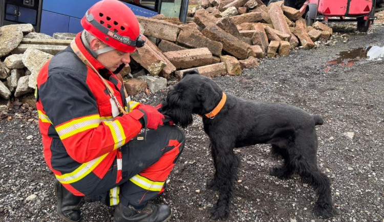 Psovodi od jihomoravských hasičů trénovali v Západních Tatrách, hledali lidi v sutinách