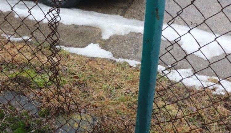 Jeden kradl, druhý čekal v autě. Policisté je dopadli na dálnici