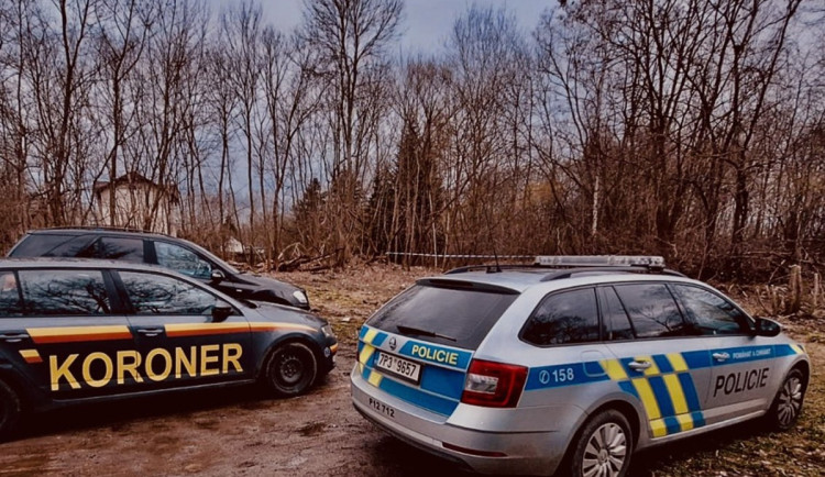 Padající strom zabil při těžbě dřeva devětačtyřicetiletého muže. Zahynul na místě