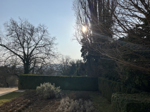 FOTO: V brněnské vile Tugendhat otevřeli kavárnu, lidé se občerství v garáži