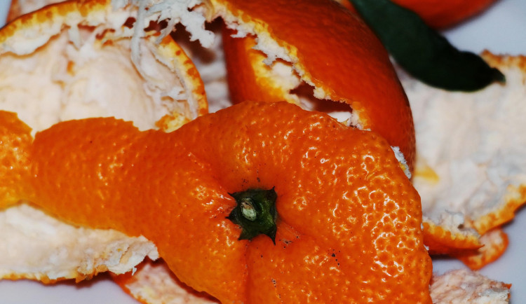 Žena schraňovala věci. Strážníci si mysleli, že jde o skládku