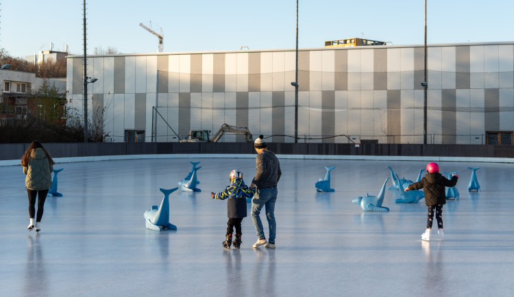 Ilustrační fotografie