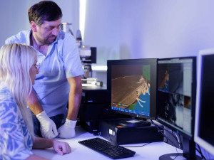 Máme chytré hlavy i silný průmysl. V inovacích jsme ale pozadu