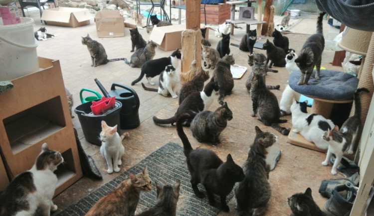 Ilustrační fotografie