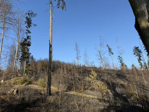 I malá nedbalost vede k živelné katastrofě, varují hasiči. Požárů v přírodě přibývá