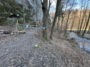 V Moravském krasu zahnízdil vzácný sokol, ochranáři uzavřeli okolí jeskyně Jáchymka