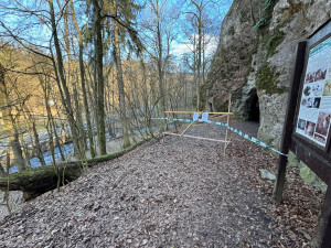 V Moravském krasu zahnízdil vzácný sokol, ochranáři uzavřeli okolí jeskyně Jáchymka