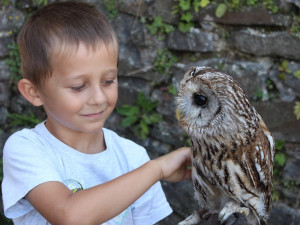 Zámek Plumlov zve na Requiem za rytíře