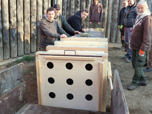 FOTO: Vzácný lev odcestoval z Moravy do Izraele, nebezpečí mu prý nehrozí