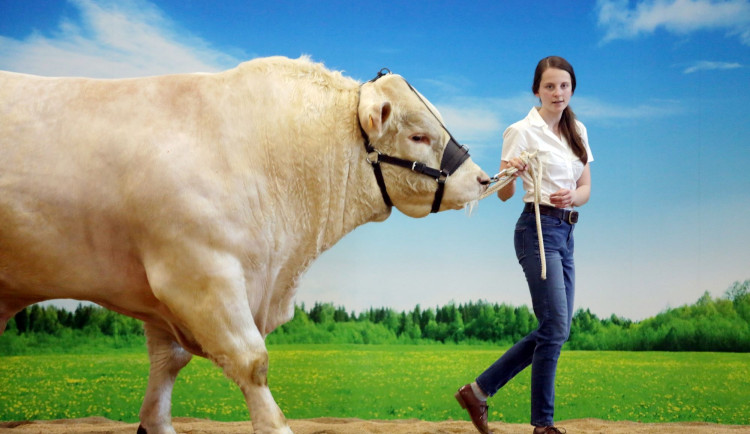 Brněnské výstaviště nabídne zemědělství i lesnictví