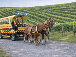 Říční tramvaj i eskalátory na Špilberk. Jih Moravy ovládly aprílové žerty