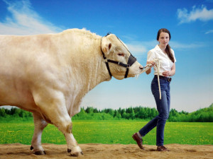 Brněnské výstaviště nabídne zemědělství i lesnictví