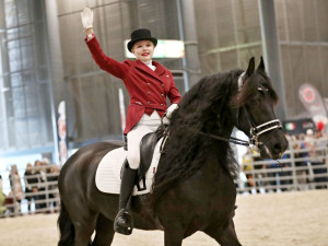 Brněnské výstaviště nabídne zemědělství i lesnictví