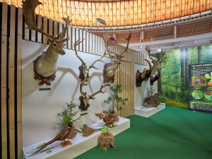 Brněnské výstaviště nabídne zemědělství i lesnictví