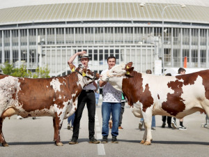 Brněnské výstaviště nabídne zemědělství i lesnictví