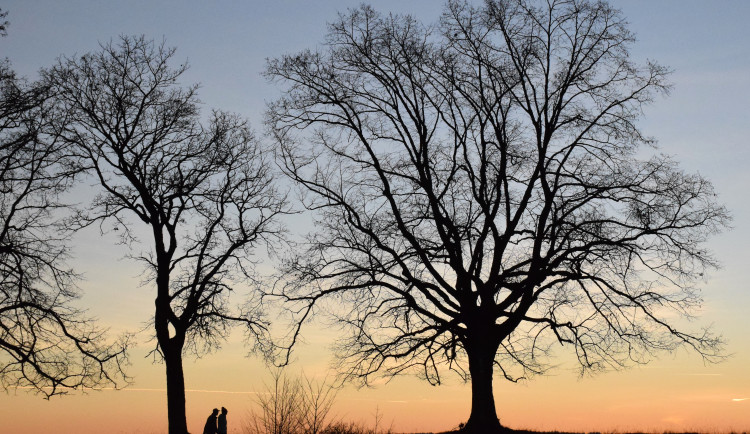 Ilustrační fotografie