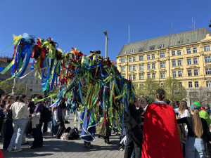 VIDEO: Studenti v Brně odstartovali majálesové oslavy. V centru postavili májku