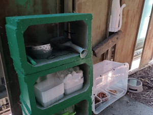 U Velodromu žily roky. Teď kočky přišly o zázemí i krmná místa, případ řeší úřady