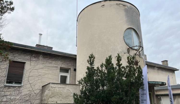 Dobrovolníci dnes pracovali na obnově zahrady vily Wittal v Brně