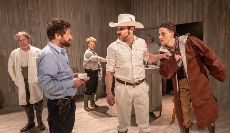 Divadlo pod Palmovkou a Švandovo divadlo uvedou premiéry her severských autorů