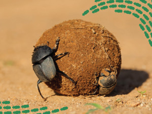 Den Země v Zoo Brno: objevte přírodu jako dokonalý systém, kde nic nepřijde nazmar