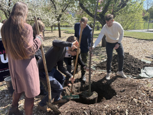 Politické dění v Brně houstne. Liberálové řeší bydlení i tramvaj na Lesnou