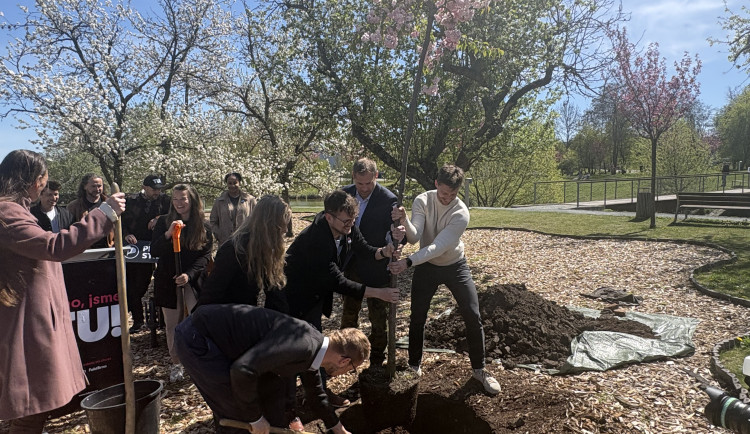 Politické dění v Brně houstne. Liberálové řeší bydlení i tramvaj na Lesnou