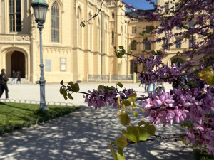 FOTO: Rozkvetlé zahrady i prosluněná kolonáda. Lidé si užívají jaro v Lednici