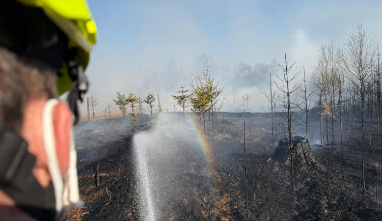 VIDEO: Rozsáhlý požár lesa na Žďársku. Podívejte se na práci hasičů i vrtulníku