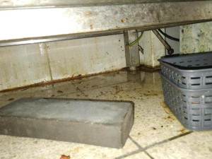 Špína, plíseň i hmyz. Inspektoři zavřeli bistro v Hodoníně