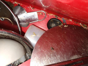 Špína, plíseň i hmyz. Inspektoři zavřeli bistro v Hodoníně