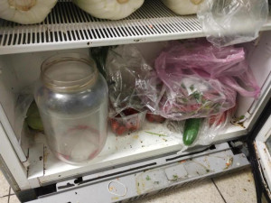 Špína, plíseň i hmyz. Inspektoři zavřeli bistro v Hodoníně