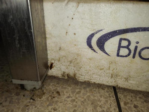 Špína, plíseň i hmyz. Inspektoři zavřeli bistro v Hodoníně