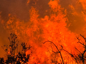 Jihomoravští hasiči pomůžou s lesními požáry v zahraničí, obstáli v Portugalsku