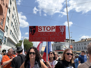 Odpůrci sudetoněmeckého sjezdu vyšli do ulic. Průvod vedl husitský kazatel