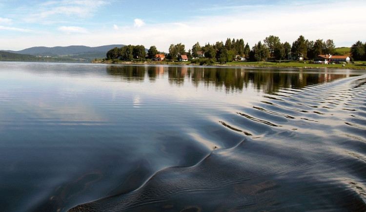 Za zhoršenou vodu v Lipně může fosfor z rašelinišť, ukázala studie