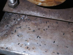 Plíseň i otisky tlapiček v mouce. Potravináři opět zavřeli pekárnu ve Vyškově