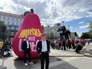 Šalinkarta za tisícovku není dárek. Je to plán, jak dostat do Brna více peněz