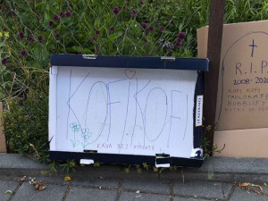 Z ulic Brna zmizely pojízdné kavárny. Pracovníkům chybí výplaty, část přišla o bydlení