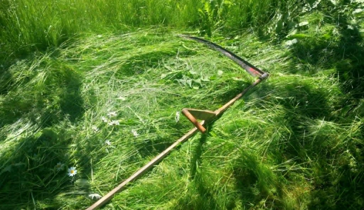 Vlastní kosa výhodou. Dobrovolníci budou kosit sad na Žďársku a louku pod Javořicí