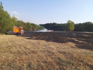 Hořel les, kombajn i pole. Jihomoravští hasiči řešili v pondělí 183 událostí
