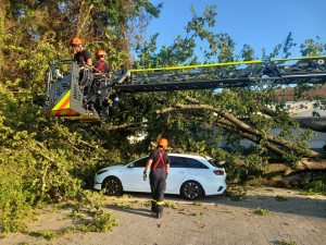 Hořel les, kombajn i pole. Jihomoravští hasiči řešili v pondělí 183 událostí