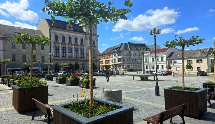 Nové platany na přerovském náměstí. Mají přinést více stínu a zlepšit mikroklima