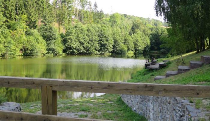 V rybníku Tvrdkov jsou sinice. Koupání může způsobit problémy