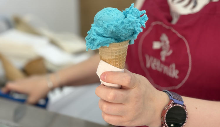 Kam v Brně utéct před vedrem? NC Královo Pole nabízí chládek i víkendovou pohodu