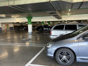 Kam v Brně utéct před vedrem? NC Královo Pole nabízí chládek i víkendovou pohodu
